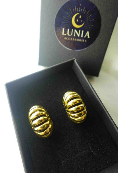 Lunia Çelik Küpe fiyatları