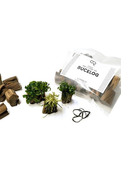 Bucelog Akvaryum Bitki Bağlama Standı
