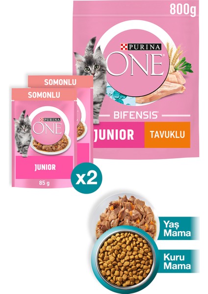 Junior Tavuk Yavru Kedi Maması 800G+JUNIOR Somon Yaş Yavru Kedi Maması 2X85G