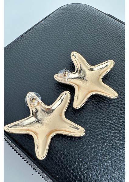 Çiçek Desenli Deniz Yıldızı Küpe (5cm) fırsatları