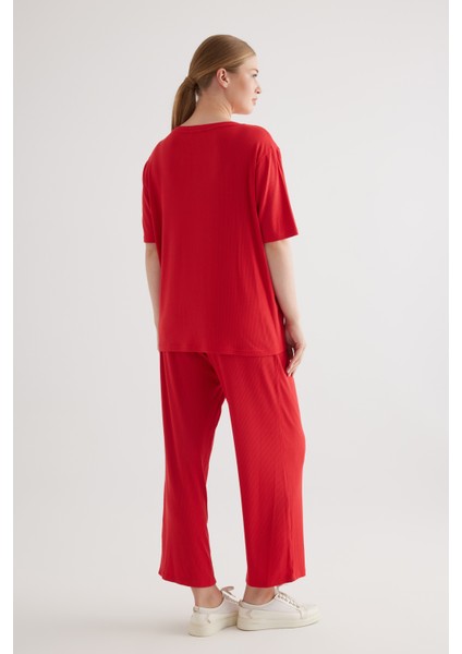 Kadın Plus Size Modal Kaşkorse Tshirt fırsatları