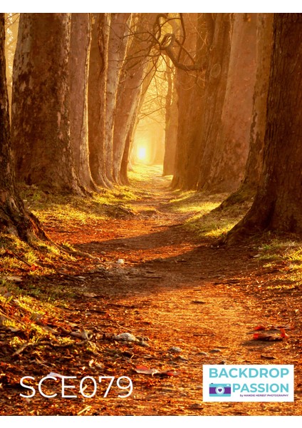 Sonbahar Hatırası Okul Etkinlik,pano,kumaş Arka Fon 150X200