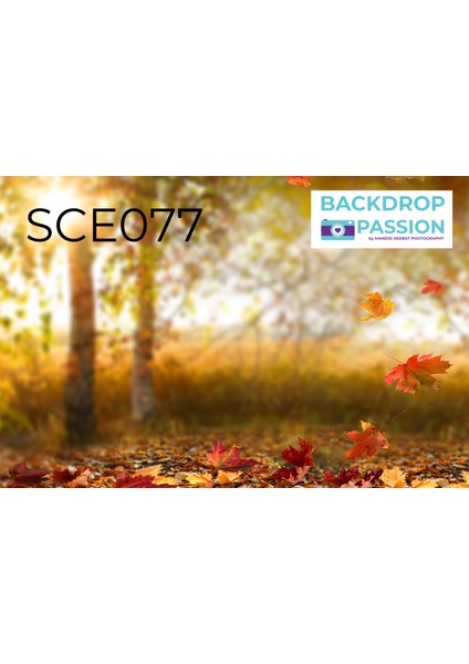 Sonbahar Hatırası Okul Etkinlik,pano,kumaş Arka Fon 150X200 fiyatları