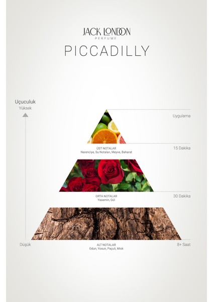 Erkek Parfüm Piccadily EDT 50 ml modelleri