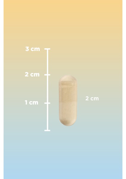 Bromelain 60 Kapsül fırsatları