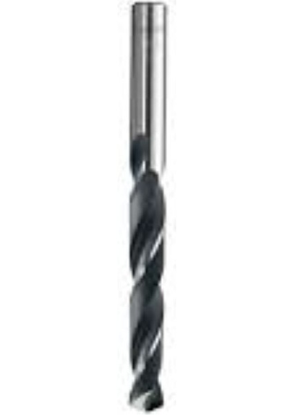 Matkap Ucu Hss 3.00 mm 10'lu