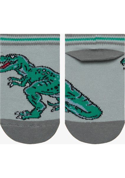 Erkek Çocuk Big Dino Çok Renkli 4lü Patik Çorap