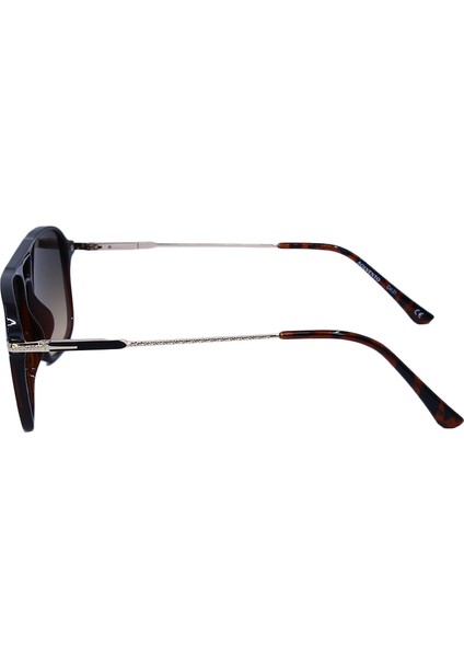343 C01 54-19 Unisex Güneş Gözlüğü modelleri