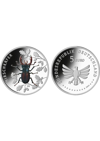 Almanya 5 Euro 2024 Hatıra - Geyik Böceği Temalı. Renkli Baskı Çil Kondisyon.