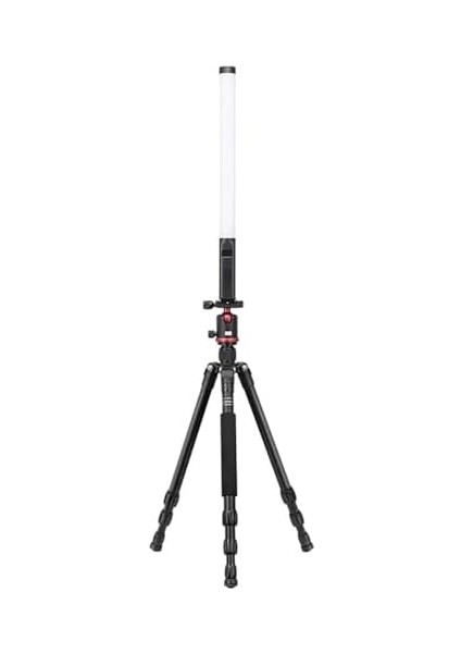 VL119 Rgb El Tipi Işık modelleri