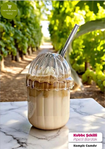 Pinterest Oval Kapaklı Mika Bardak Cam Pipet Hediyeli fiyatları