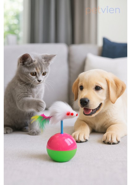 Kedi Hacıyatmaz Oyuncak Kedi Topu - Hareketli Kedi Oyuncağı, Eğlenceli Kedi Topu