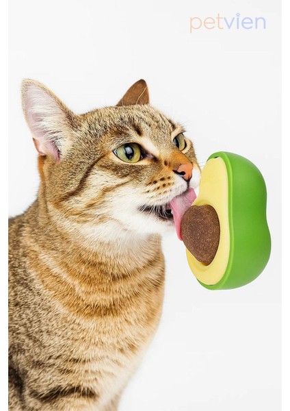 Avokado Tasarımlı Kedi Yalama Topu - Kedi Nanesi Oyuncağı - Kedi Çimi Topu