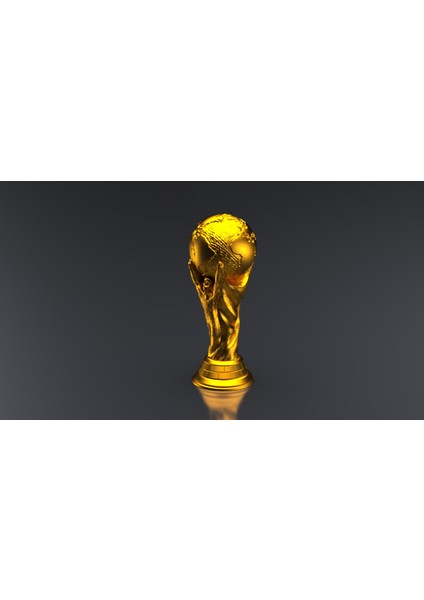 Uğur Mobilya Flexıs Dünya Kupası Maketi 20 cm Qatar Worldcup Messi