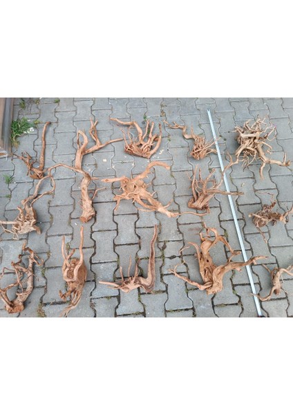Çöl (Yati) Kütüğü Bağ 35-45 cm fırsatları