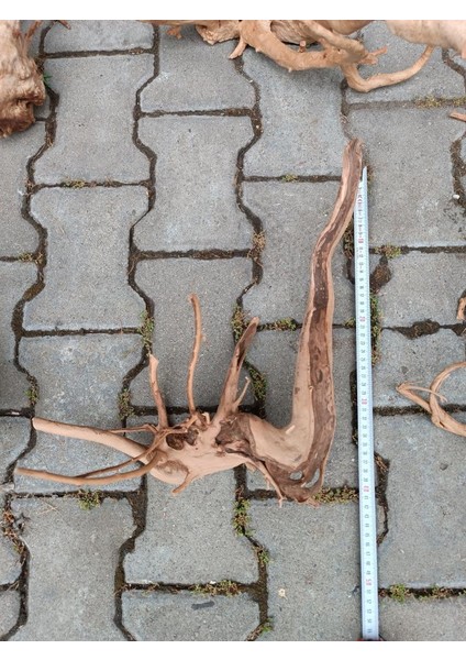 Çöl (Yati) Kütüğü Bağ 35-45 cm indirimleri