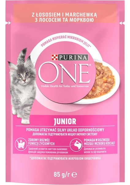 Yavru Kedi Maması Somonlu 85G