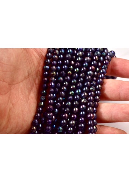 Siyah Inci Dizi fiyatları