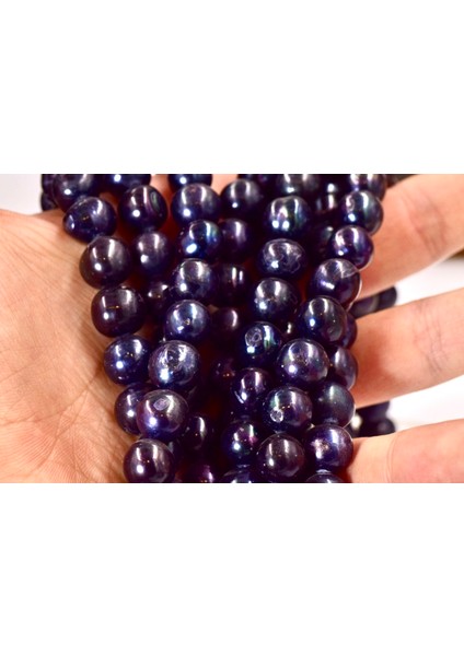 Siyah Inci Büyük Boy Dizi fiyatları