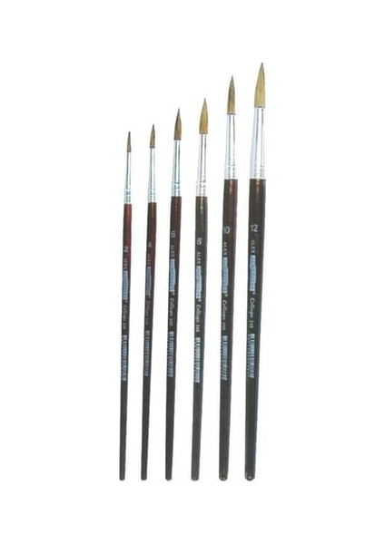 Schoeller College 245 No:0--no:4--no:8--no:10--no:11 olmak üzere toplam 5 adet