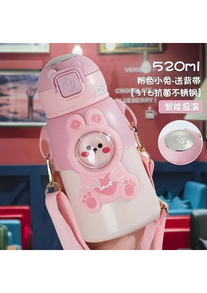 Netflix Eğlenceli Çocuk Yalıtımlı Dak 316 Gıda Sınıfı Öğrenciler Anaokulu Saman Su Dağı Boyunca Eğimli Hediye Su Şişesi (Yurt Dışından)