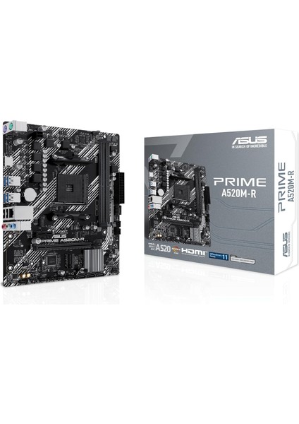 Prime A520M-R Amd A520 Am4 Ddr4 5100 HDMI M2 Usb3.2 Matx, Anakart
