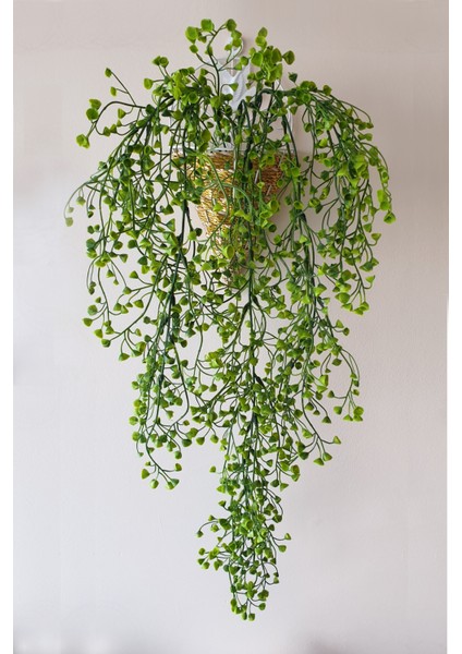 Yapay Sarkan Bitki 80 cm