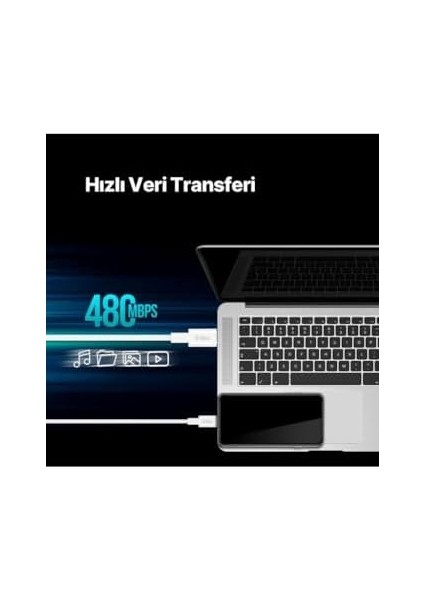 Type-C To Type-C 30CM 65W Pd/qc Hızlı Şarj/data Kablosu 2DK47B Beyaz
