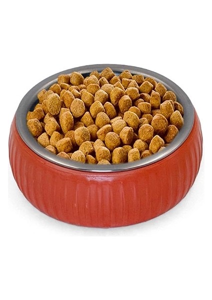 Mikopet Organik Seramik Mama Kabı Kiremit