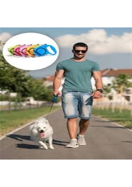 Otomatik Uzayan Köpek Tasması 3 Metre fırsatları
