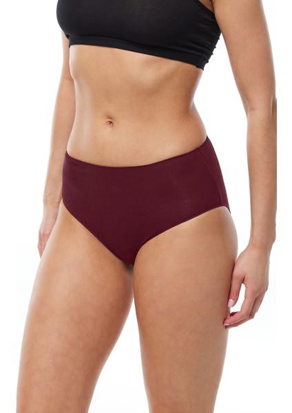 Kadın Lacivert Gri Bordo 6 Lı Paket Modal Yüksek Bel Slip Külot 1955 fiyatları