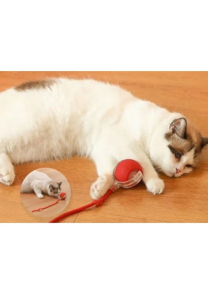 Otomatik Hareketli Top Kedi Oyuncağı USB Şarjlı Akıllı Oyun Topu Hızlı Yuvarlanan Kuyruklu Oyuncak