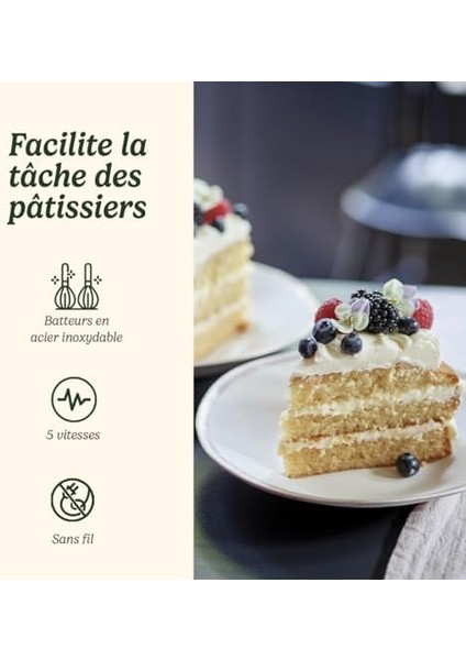 RHM100E Kablosuz El Mikseri Gümüş modelleri