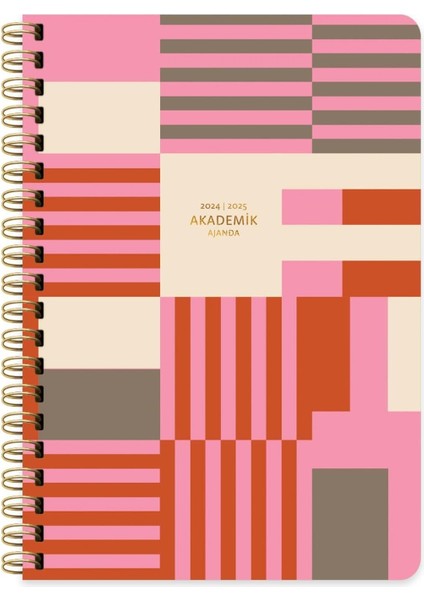 Color 17 * 24 Spiralli Akademik Ajanda - Enerji