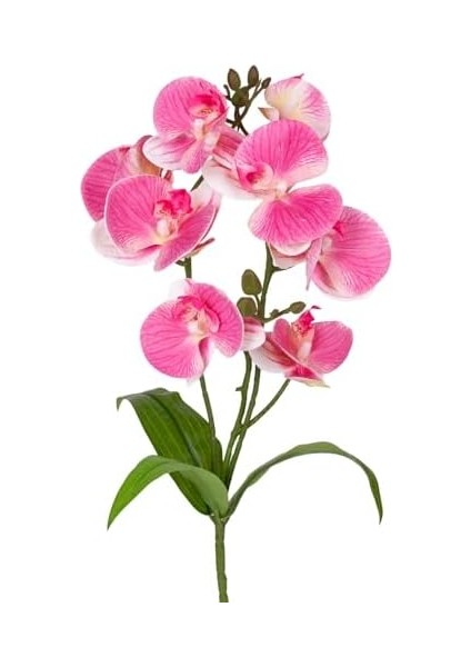 Yapay Orkide Gerçek Dokunuş Pembe 45 Cm.