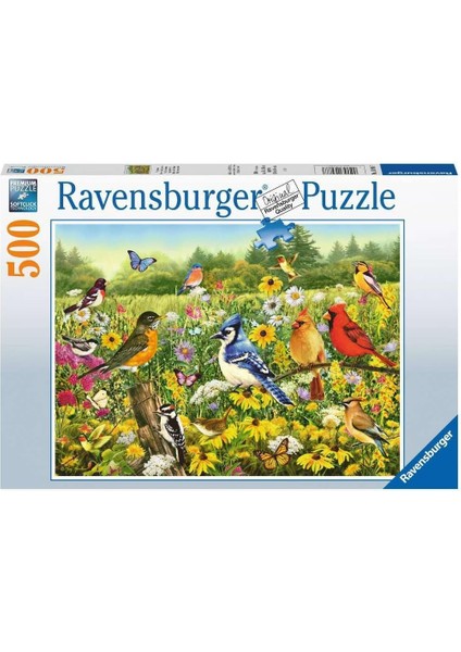 500 Parçalı Puzzle Kuşlar