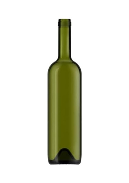 750 ml Yeşil Yağdanlık Şişesi Yağlık Gold Akıtıcılı Kapaklı Sızdırmaz Cam Şişe 2&apos;li 750 cc fiyatları