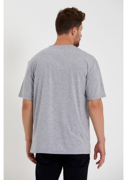 Süperlife Erkek Bisiklet Yaka Standart &regular Fit Tişort SPR22TS110 fiyatları