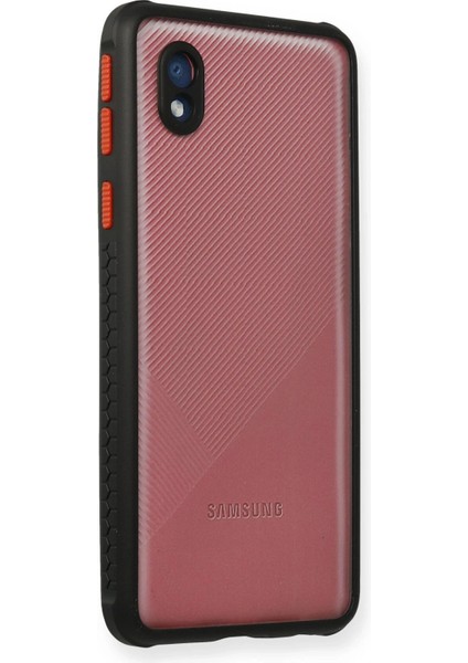 Samsung Galaxy A01 Core Kılıf Miami Şeffaf Silikon - Siyah - JUL6372-7039