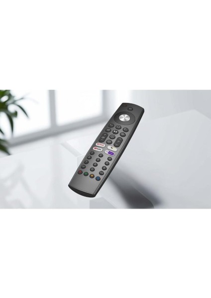 Arçelik Beko-Grundıg TS9187R RC4353902/01 Netflıx-Youtube-Conect Tv Tuşlu Yazısız