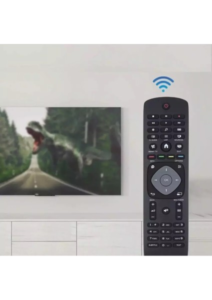 Philips Tv Kumandası modelleri