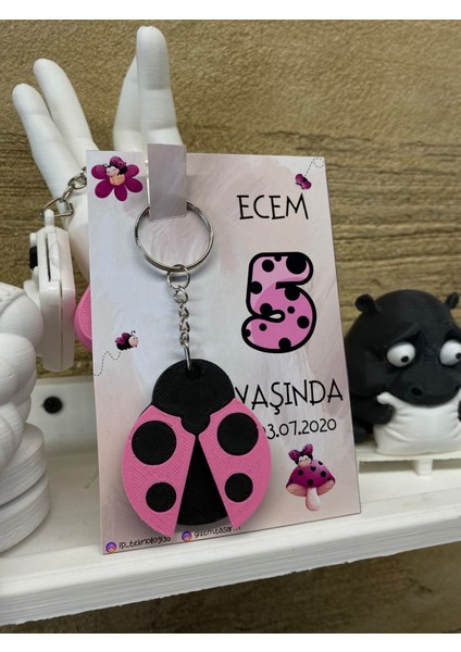 Pembe Uğurböceği Anahtarlık