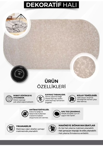 Halı Vizon Saktanat Yıkanabilir Saçaksız Kesme Ince Yolluk Kilim Salon Halısı Modelleri indirimleri