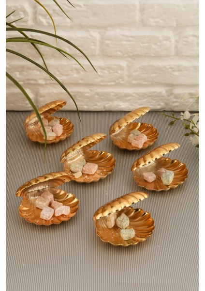 Brano 6 Lı Kahve Yanı Istiridye Lokumluk Gold