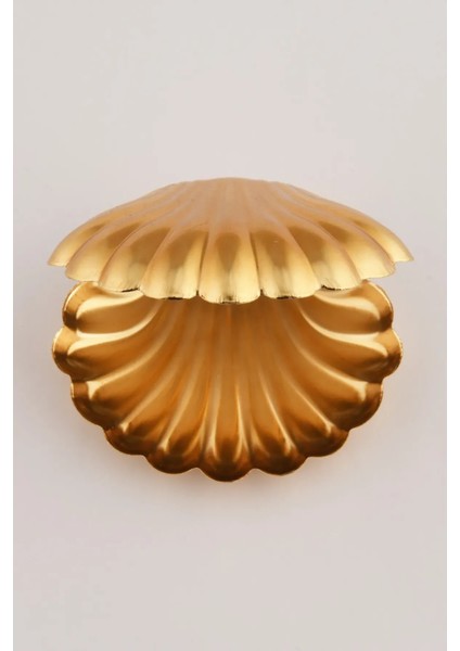 Brano 6 Lı Kahve Yanı Istiridye Lokumluk Gold fiyatları