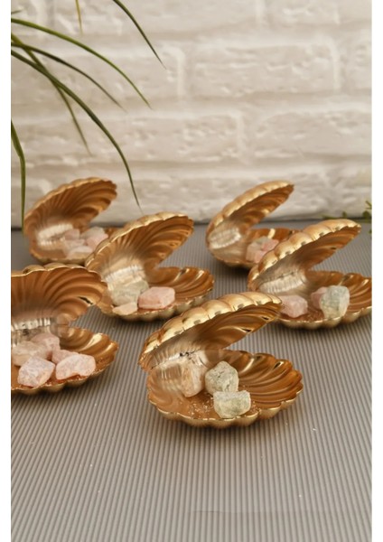 Brano 6 Lı Kahve Yanı Istiridye Lokumluk Gold modelleri