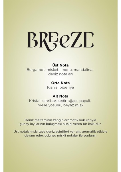 125 ml Koku Kartuşu Breeze-E2 Power