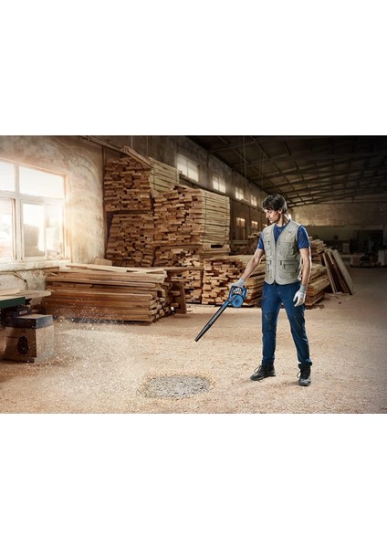 Professional Gbl 18V-120 Akülü Üfleyici (Akü ve Şarj Cihazı Dahil Değildir) - 06019F5100 indirimleri