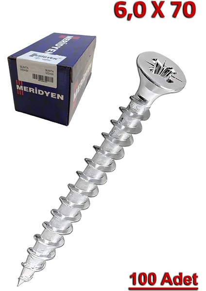 Meridyen Sunta Vidası 6.0X70 (100 Adet)