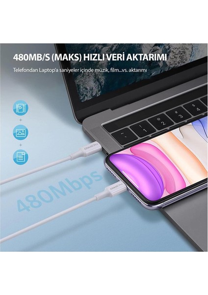 CTC12 60W 1.2m Tpe Type-C To Type-C Hızlı Şarj ve Data Kablosu 2 Adet